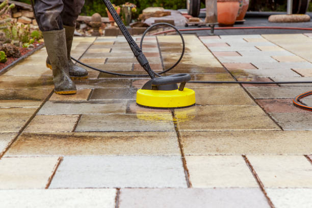Best Animal Enclosure Cleaning  in West Bay Shore, NY